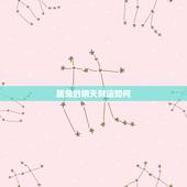 属兔的明天财运如何，请问1987年5月属兔的今年运势怎么样？会好运吗？