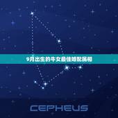 9月出生的牛女最佳婚配属相，属牛女最佳婚配前十名属相