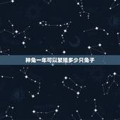 种兔一年可以繁殖多少只兔子，那种兔子产仔多