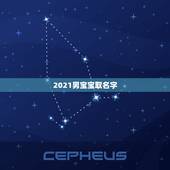 2021男宝宝取名字，2021年男孩取名字寓意好的字