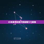 85年属牛女除夕夜躲哪几个属相，属牛和属虎结婚婚姻情况怎样