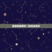 属猪和属猪在一起财运怎样，83年猪39岁后十年大运运程