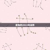 属兔的2022年运势，1987年属兔人2022年运势？