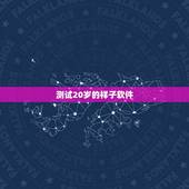 测试20岁的样子软件，有没有可以探测到长大以后样子的软件？是什么？