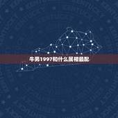 牛男1997和什么属相最配，1997属牛男和什么属相婚配合适