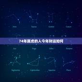 74年属虎的人今年财运如何，74属虎人一生财运