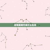 结婚离婚代表什么生肖，未年是什么生肖