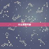 什么草割不断，会割破手的草