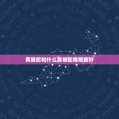 男属蛇和什么属相配婚姻最好，男属蛇的属相婚配表 属蛇的和什么属相最配