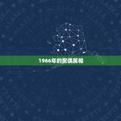 1966年的配偶属相，1966年属什么，1966年属相