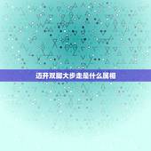 迈开双脚大步走是什么属相，迈开双脚大步走打一肖