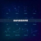 双子男的爱婚观(自由与稳定的平衡)