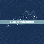 20228月射手座运势完整版，射手座本月运势