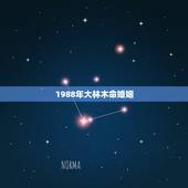 1988年大林木命婚姻，1988年属龙的人婚姻怎么样