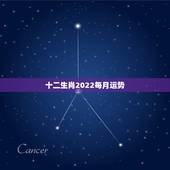 十二生肖2022每月运势，2022年运势最好的生肖