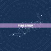 羊遇蛇运势如何，1977年的蛇和1979年的羊今年感情运势如何