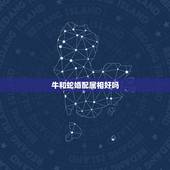 牛和蛇婚配属相好吗，请问属蛇和属牛相配好不好？