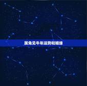 属兔见牛年运势和姻缘，属牛和属兔的姻缘