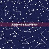 属虎在本命年生孩子好不好，属鼠本命年生孩子好不好