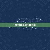 2023年是属于什么年，2023年属什么生肖啥命