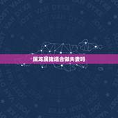 属龙属猪适合做夫妻吗，十二生肖配对