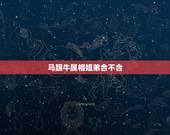马跟牛属相姐弟合不合，属猪和什么属相不合
