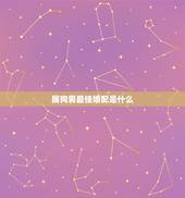 属狗男最佳婚配是什么，属狗男最佳配偶是什么生肖