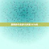 属狗的今年多大岁数1970年，属鸡的今年多大