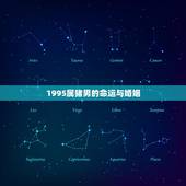 1995属猪男的命运与婚姻，农历1995年11月19日属猪人的婚姻与命