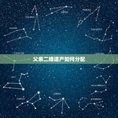 父亲二婚遗产如何分配，父亲二婚财产分割问题