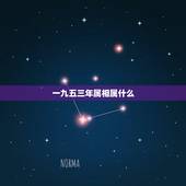 一九五三年属相属什么，一九五三年六月十五出生的人属什么生肖，什么星座。