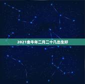 2021金牛年二月二十几出生好，2021年那个月出生的牛宝宝最好