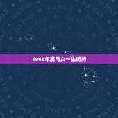 1966年属马女一生运势，1966年属马人今天财运
