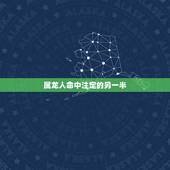 属龙人命中注定的另一半，每个人都有命中注定的另一半 是这样吗？