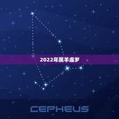 2022年属羊虚岁，1991年属羊有几次婚姻