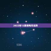 2022年12属相每月运势，2022年属马人的全年每月