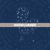 属蛇的和什么属相最配 属蛇的六个合贵人