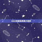 2022年属兔有两大贵神，属兔几月出生大富大贵