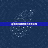 属蛇的结婚忌什么送客属相，2个属蛇的结婚忌什么属相