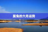 属兔的六月运势，二零一六年属兔运势如何