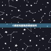 属蛇和属猴的婚姻如何，蛇和猴相配婚姻相配吗