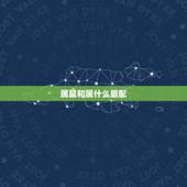 属鼠和属什么最配，属鼠女和什么生肖最配