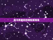 属马男最好的婚配属相是，1990年属马男是什么命？最配什么属相