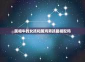 属相牛的女孩和属鸡男孩能相配吗，大家知道属牛的女生和属鸡的男生相配吗？