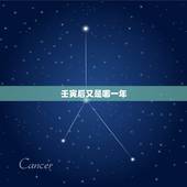 壬寅后又是哪一年，丙寅年是哪一年