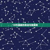 1995属猪的命运与婚姻男，九五年属猪男的婚姻状况
