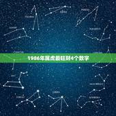 1986年属虎最旺财4个数字，1986年属虎幸运数字