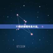 71年的猪哪年走大运，71年属猪49岁有一灾2022