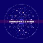 深宫曲皇子婚配之后怎么见面，深宫曲怎么看女婿