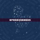 葫芦型如意吉祥属相铜挂饰，有个铜葫芦吉祥如意四字葫芦满身葫芦藤还有16